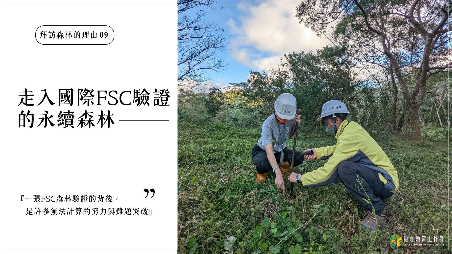 拜訪森林的理由09－走入國際FSC驗證的永續森林】 - 斯創視窗- 斯創教育工作群