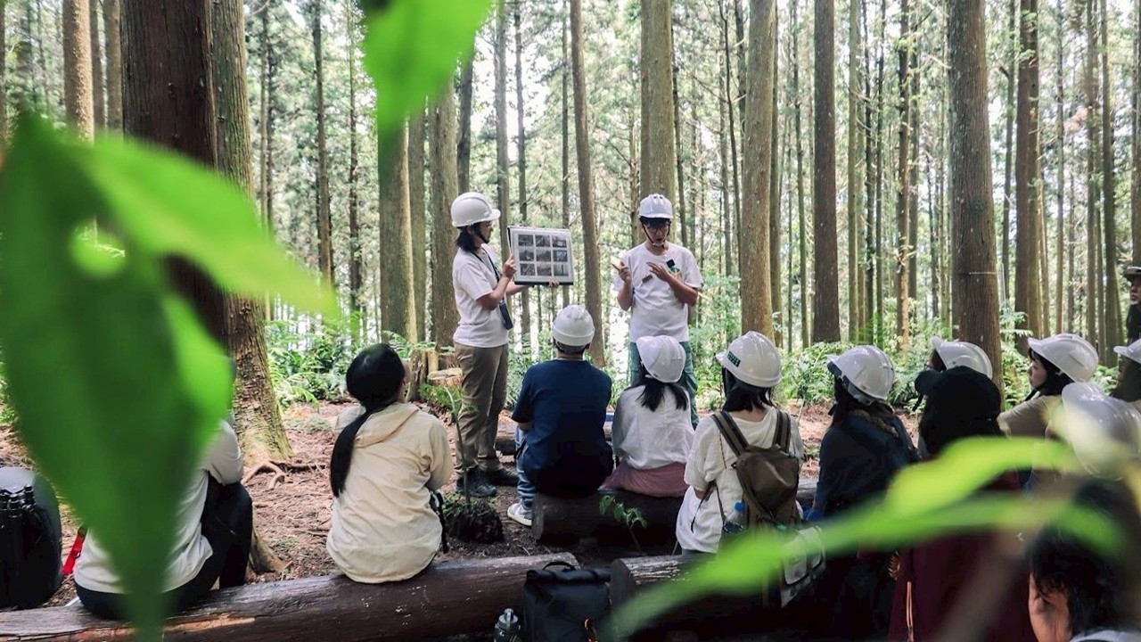 與勤美0km山物所聯手，打造國產材的美學空間