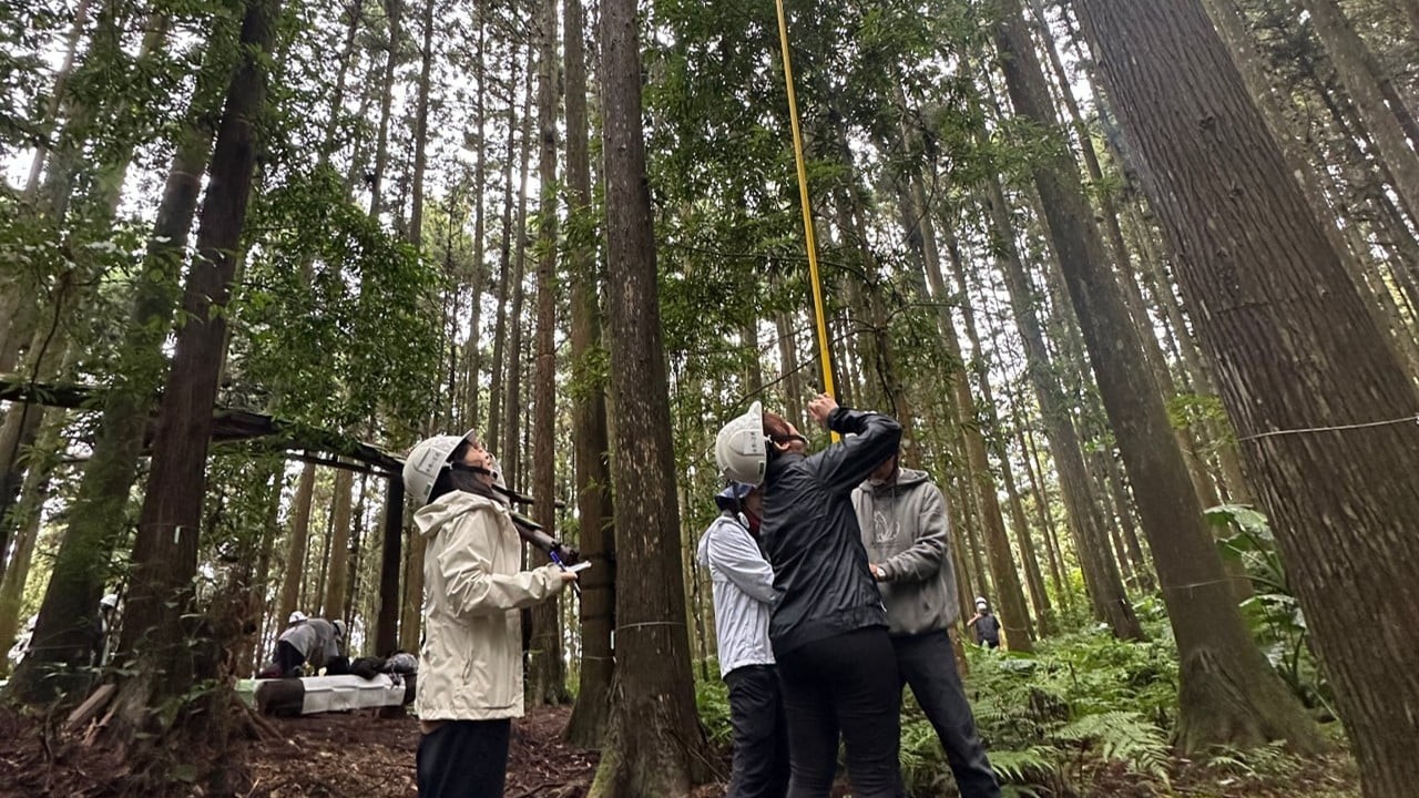 與林同行．為木育建立通用的對話地圖